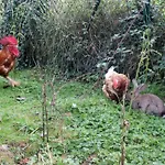 Εξοχικό σπίτι Monte Baserria