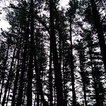 Monte Baserria Летний дом