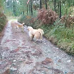 Летний дом Monte Baserria