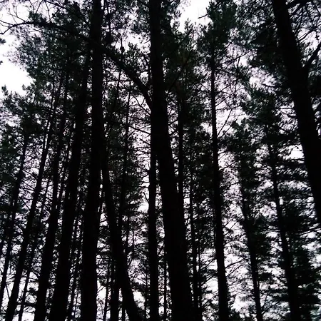 Monte Baserria Landsted