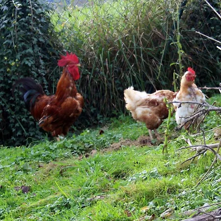 Εξοχικό σπίτι Monte Baserria