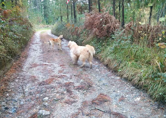 Country house Monte Baserria