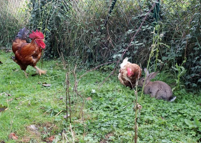 Country house Monte Baserria